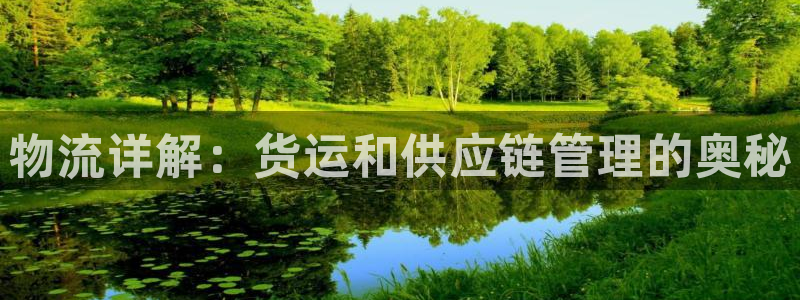 28圈充值不到账怎么办