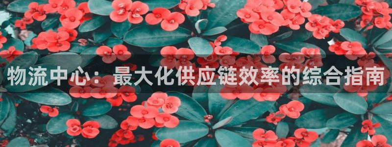 28圈充值不处理会怎么样：物流中心：