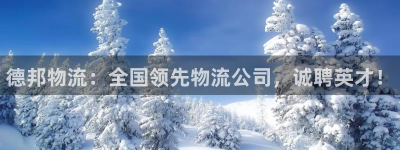 28圈自行车图片