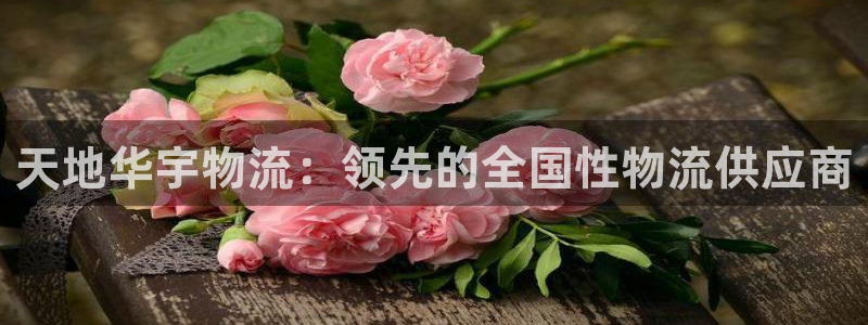 28圈充值不到账怎么办：天地华宇物流