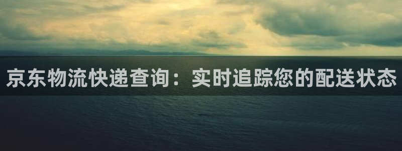 28圈加拿大预测