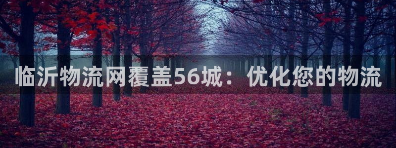 28圈怎么下载不了