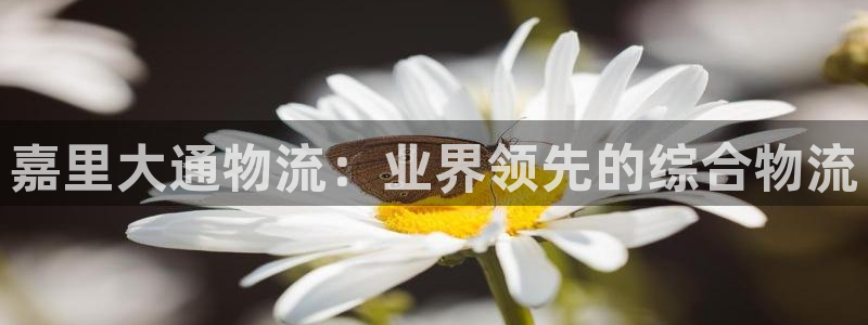 28圈下载不了：嘉里大通物流：业界领