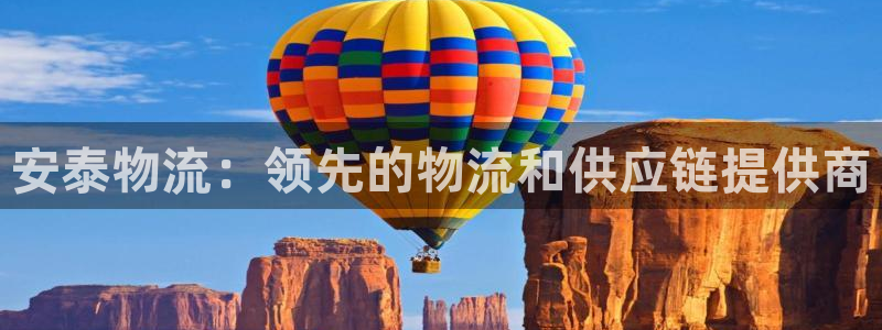 28圈黑钱：安泰物流：领先的物流和供