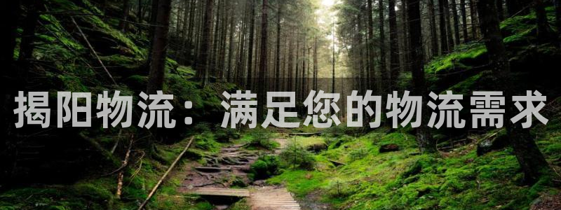 28圈注册网址：揭阳物流：满足您的物