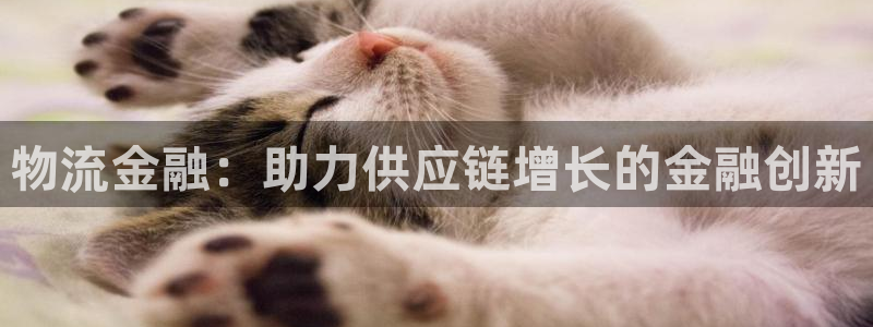 28圈加拿大28
