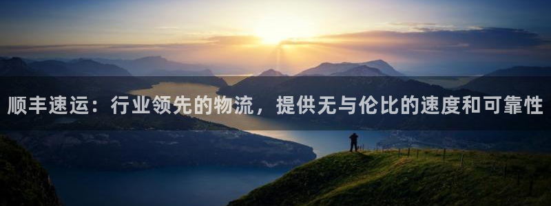 28圈登录网：顺丰速运：行业领先的物