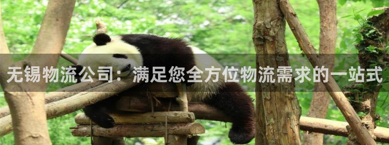 28圈注册登录链接流程：无锡物流公司