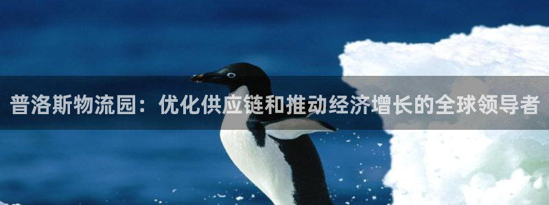 28圈注册账号：普洛斯物流园：优化供