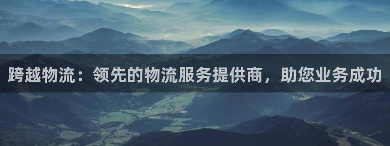 28圈黑吗：跨越物流：领先的物流服务