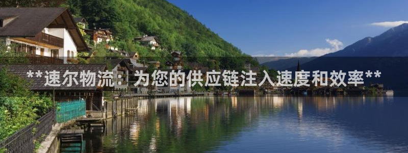 28圈官方网站：**速尔物流：为您的
