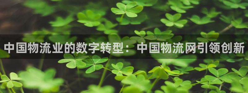 28圈网站怎么注册：中国物流业的数字