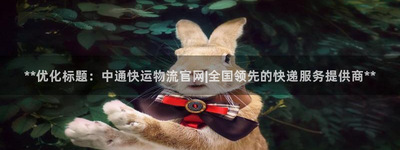28圈预测加拿大师准