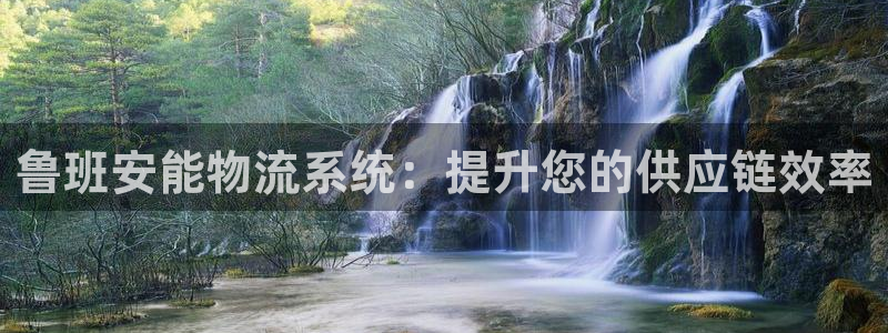 28圈分分压单双技巧：鲁班安能物流系