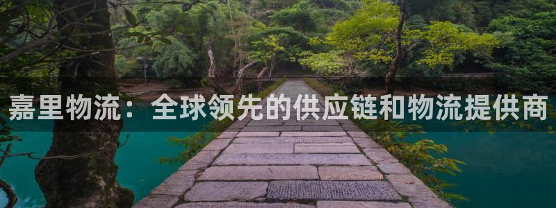 28圈平台注册：嘉里物流：全球领先的