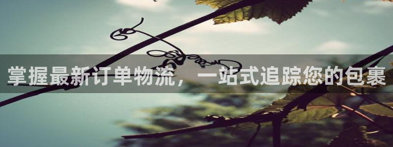 28圈推广链接是多少钱一个