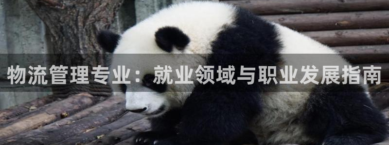 28圈官方官网版