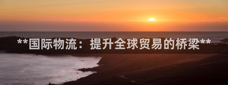 28圈注册教程：**国际物流：提升全