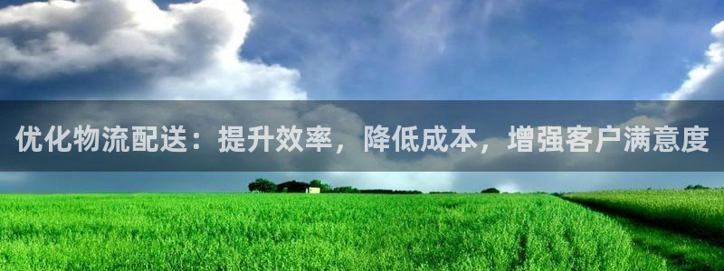 28圈注册网站多少：优化物流配送：提
