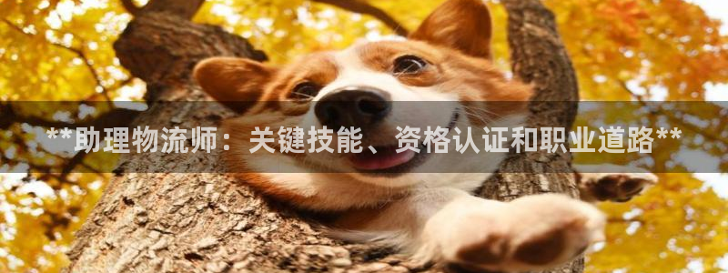 28圈是啥