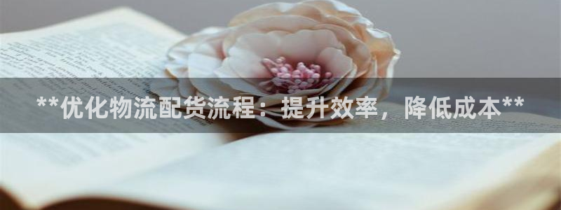 28圈黑钱：**优化物流配货流程：提