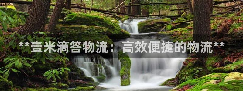 28圈下载不了