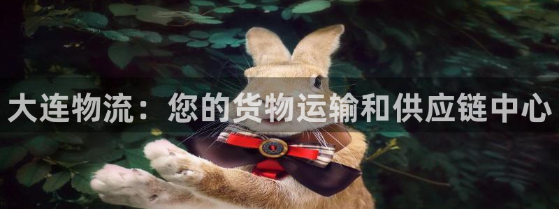 28圈加拿大下载