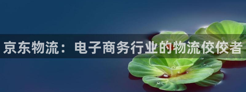 28圈龙虎