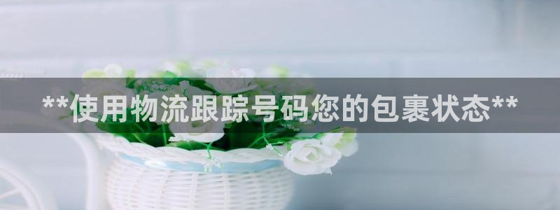 28圈为什么没有赢过一次