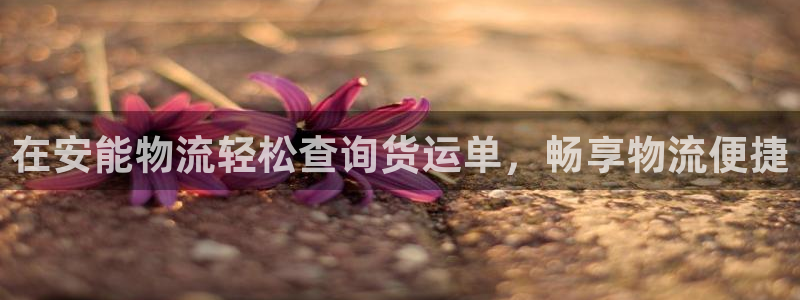 28圈app能退款吗：在安能物流轻松