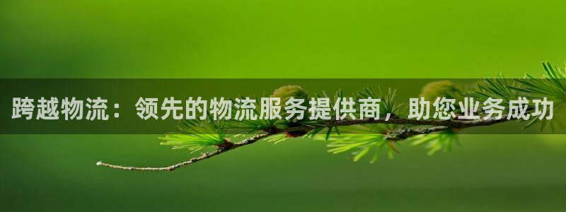 南宫28圈官网：跨越物流：领先的物流