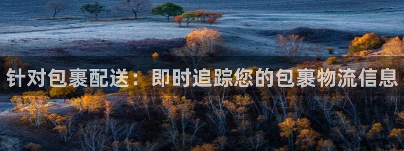 28圈电子