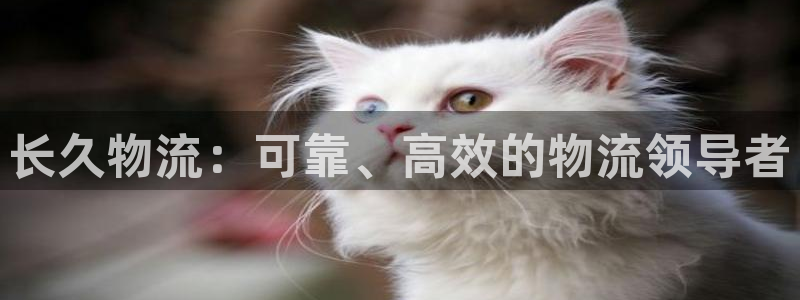 28圈娱乐官网网页下载