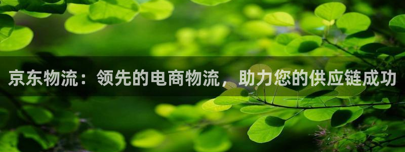 28圈链官网