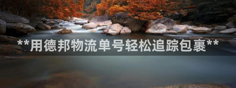 28圈是正规平台吗