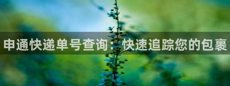 28圈如何看计划：申通快递单号查询：