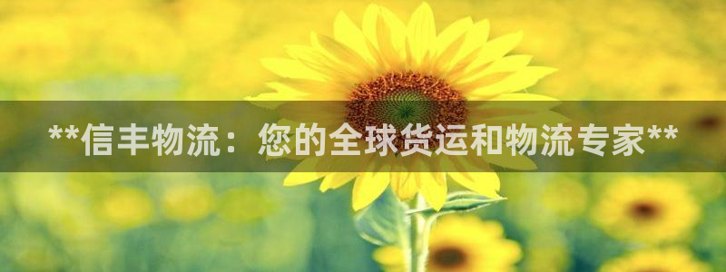 28圈.ccm2024