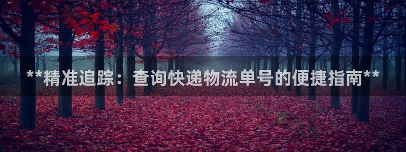 28圈账号注册：**精准追踪：查询快