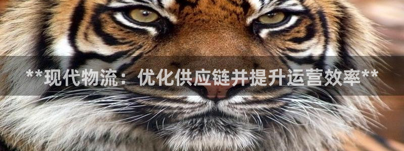 28圈龙虎