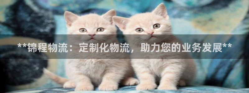 28圈口