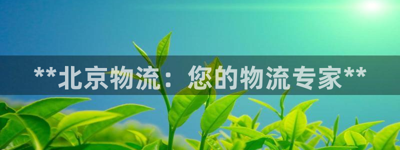 28圈ccm官网版