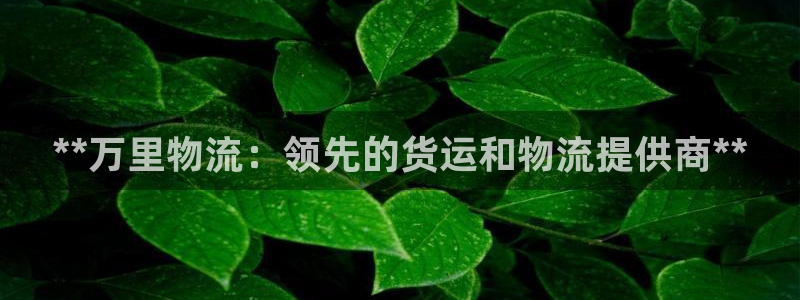 28圈注册网站链接：**万里物流：领