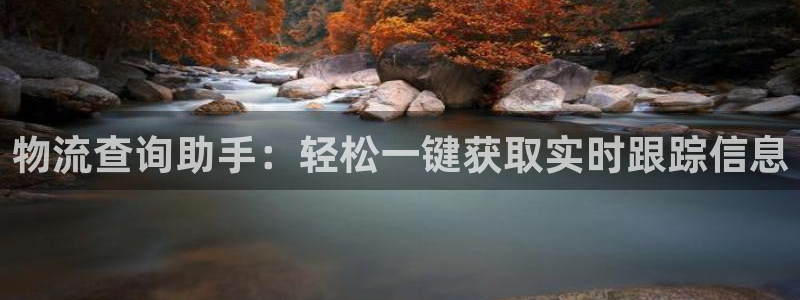 28圈比特28预测在线预测：物流查询