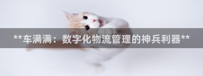 28圈网站平台