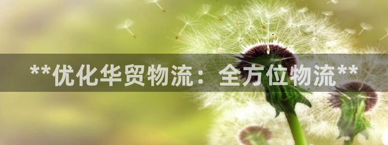 加拿大28圈是什么：**优化华贸物流
