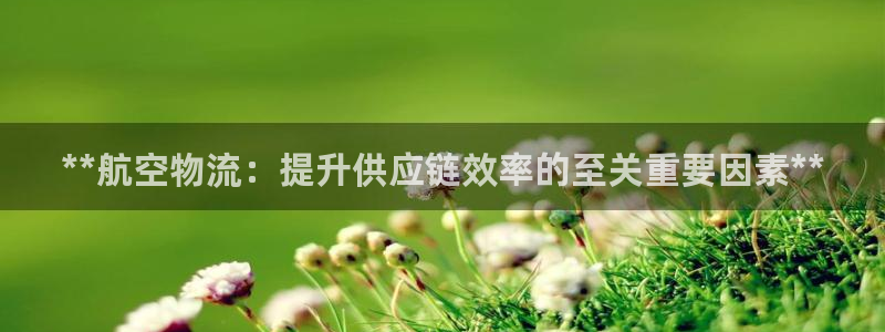 28圈预测