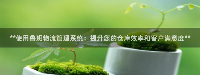 28圈模拟器在线玩：**使用鲁班物流