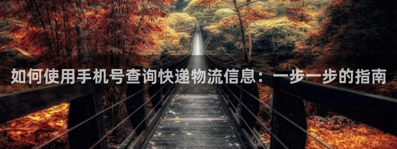 28圈预测加拿大