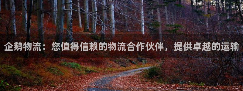 28圈比特28真实吗
