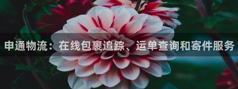 28圈网站平台：申通物流：在线包裹追